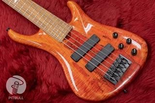 Ibanez】弾きやすさに加えアコースティックな鳴り感にこだわった