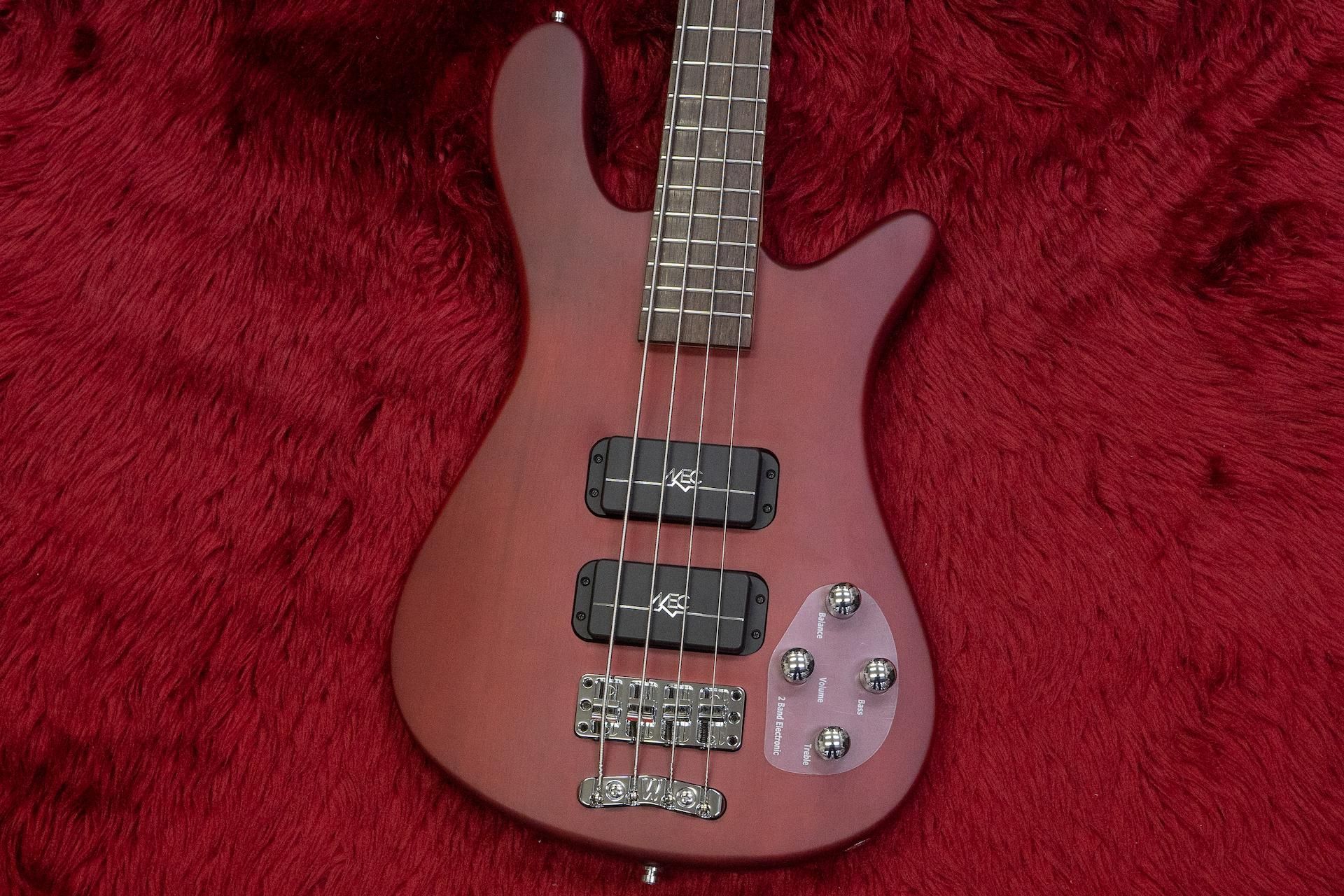 Warwick streamer standard エレキベース Streamer Standard 5st | Warwick Japan