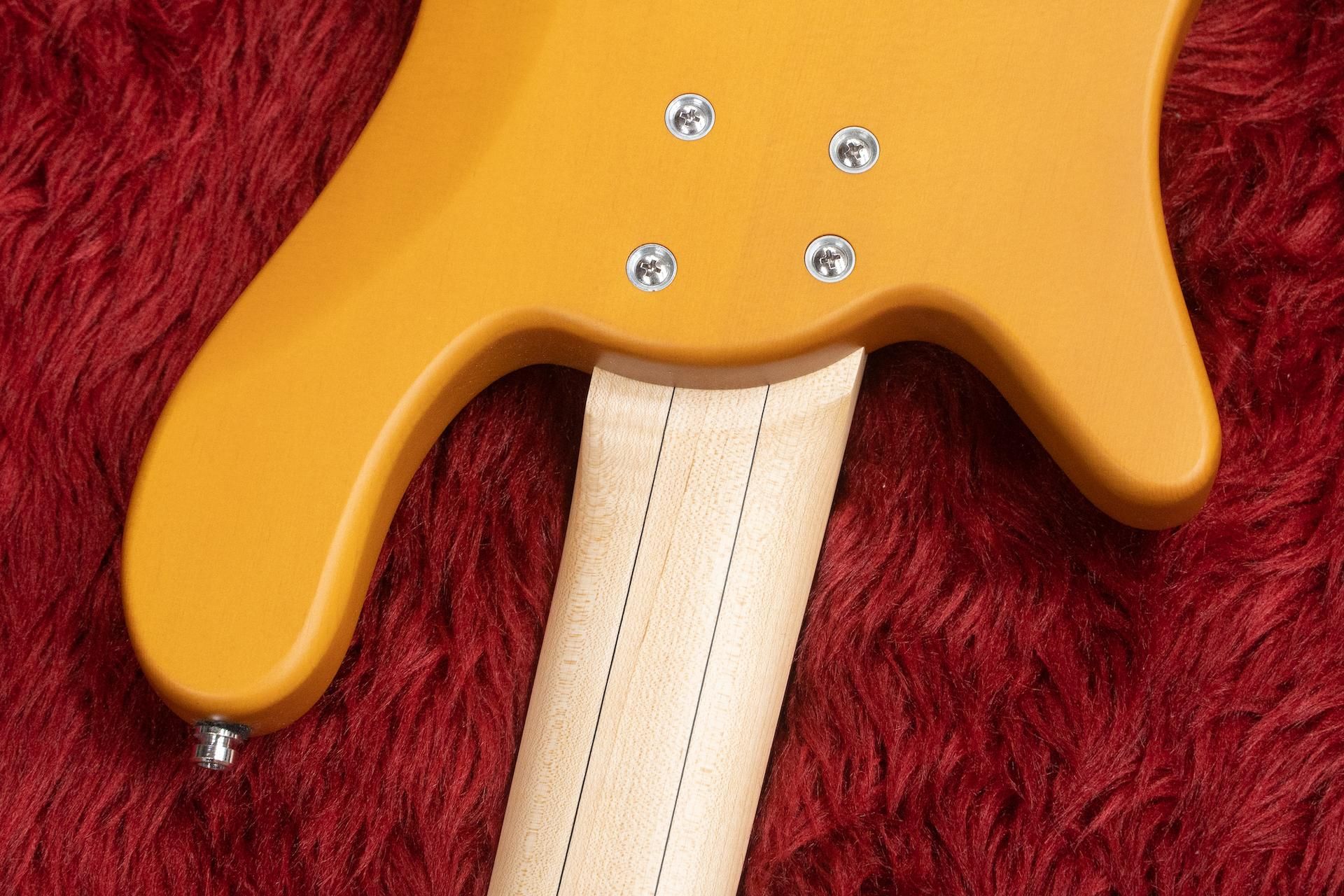 早いものがち！warwick　rockbass STREAMER　ケース付 outlet】Warwick / RockBass Streamer Standard 5st TS HV