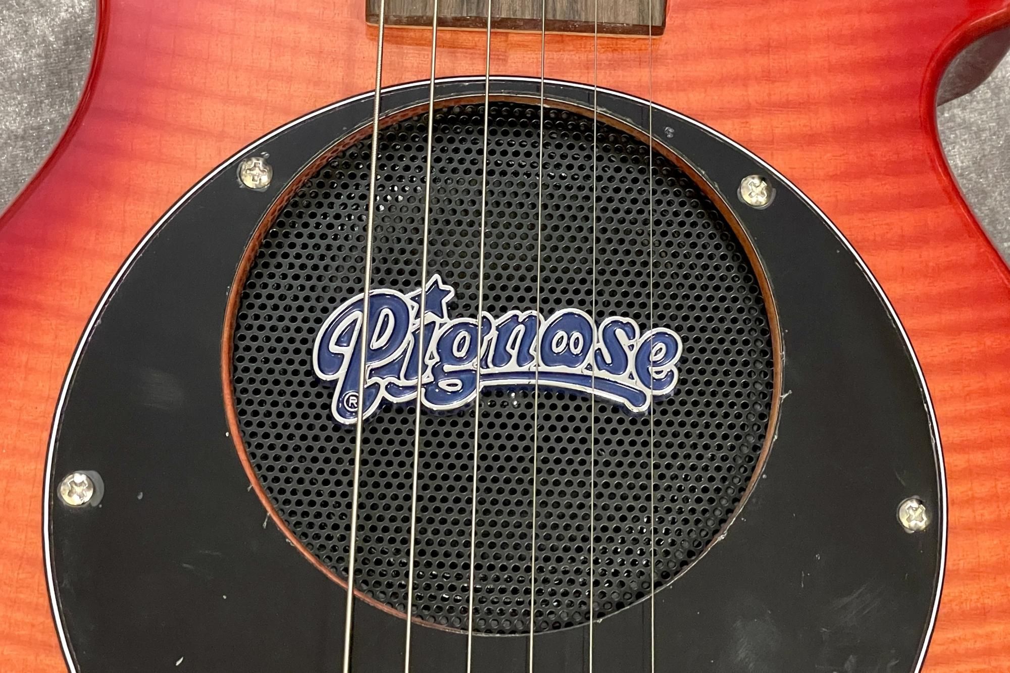 ギター Pignose PGG-200 Amazon.com: Pignose PGG-200 Deluxe Electric Guitar with