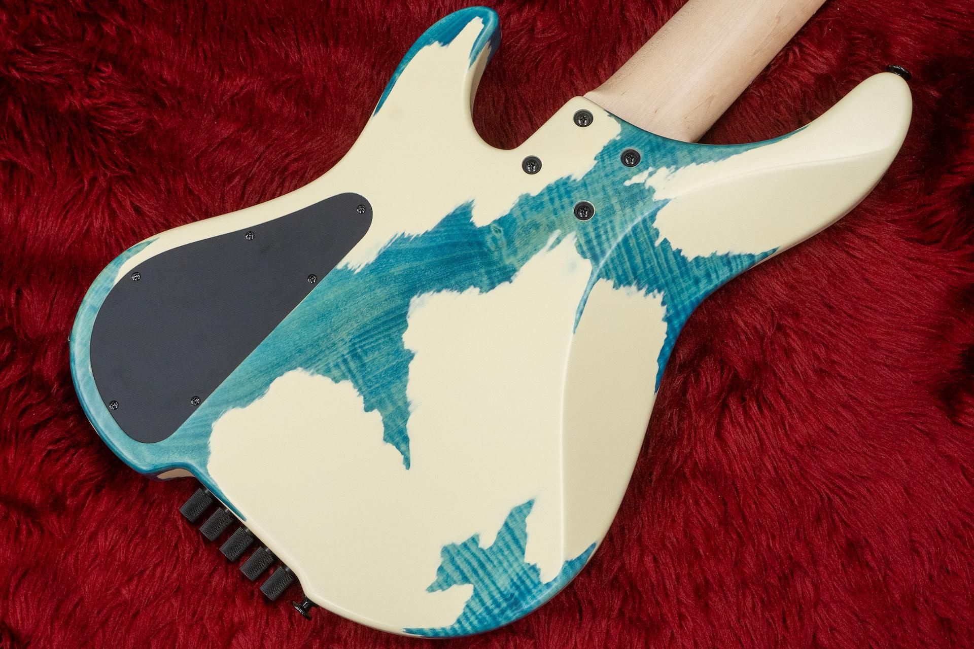 new】Bacchus / WOODLINE5HL TOCHI SP'23/ZC WH on BLU-MA