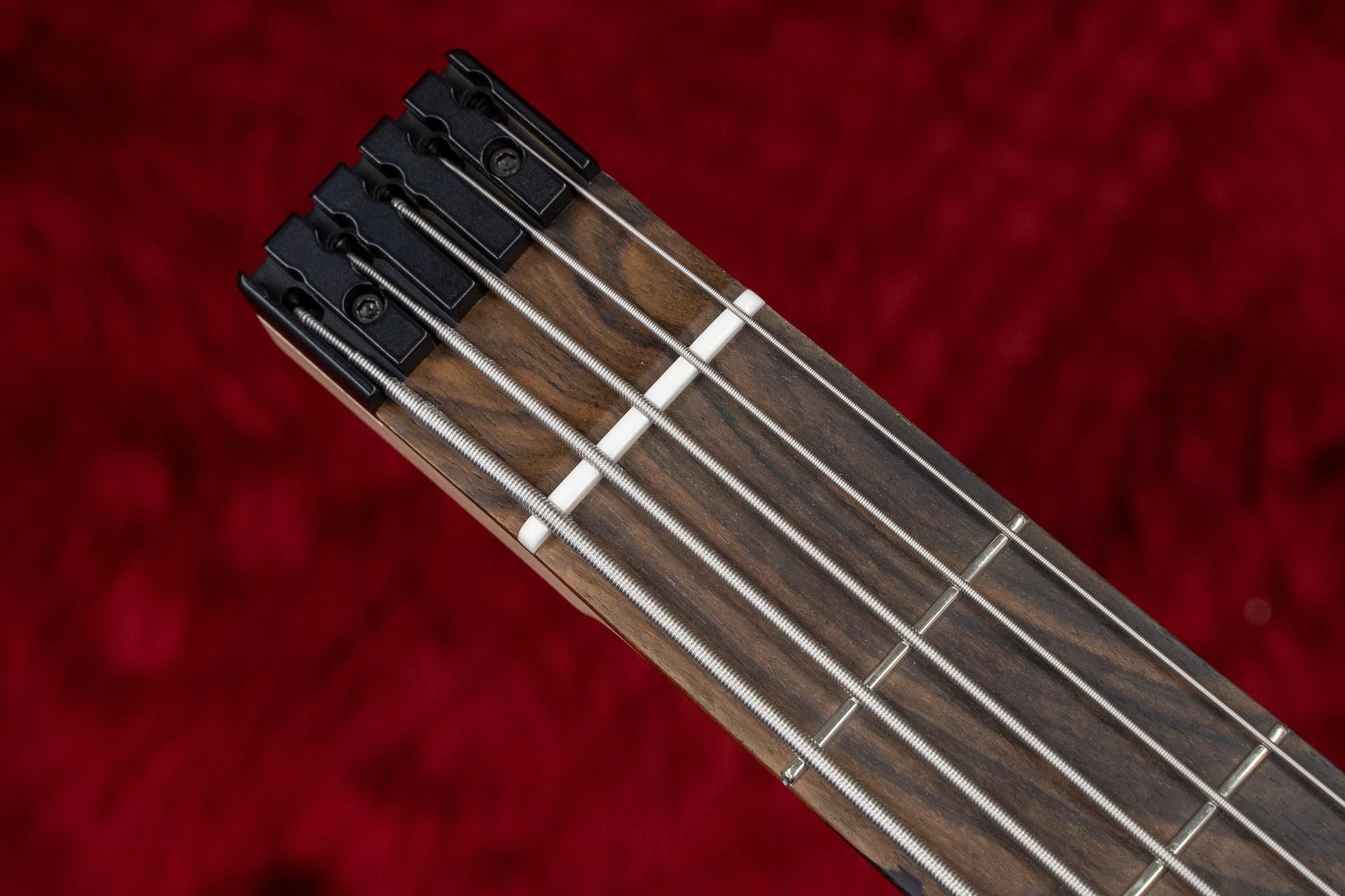 new】Bacchus / WOODLINE5HL TOCHI SP'23/ZC WH on BLU-MA