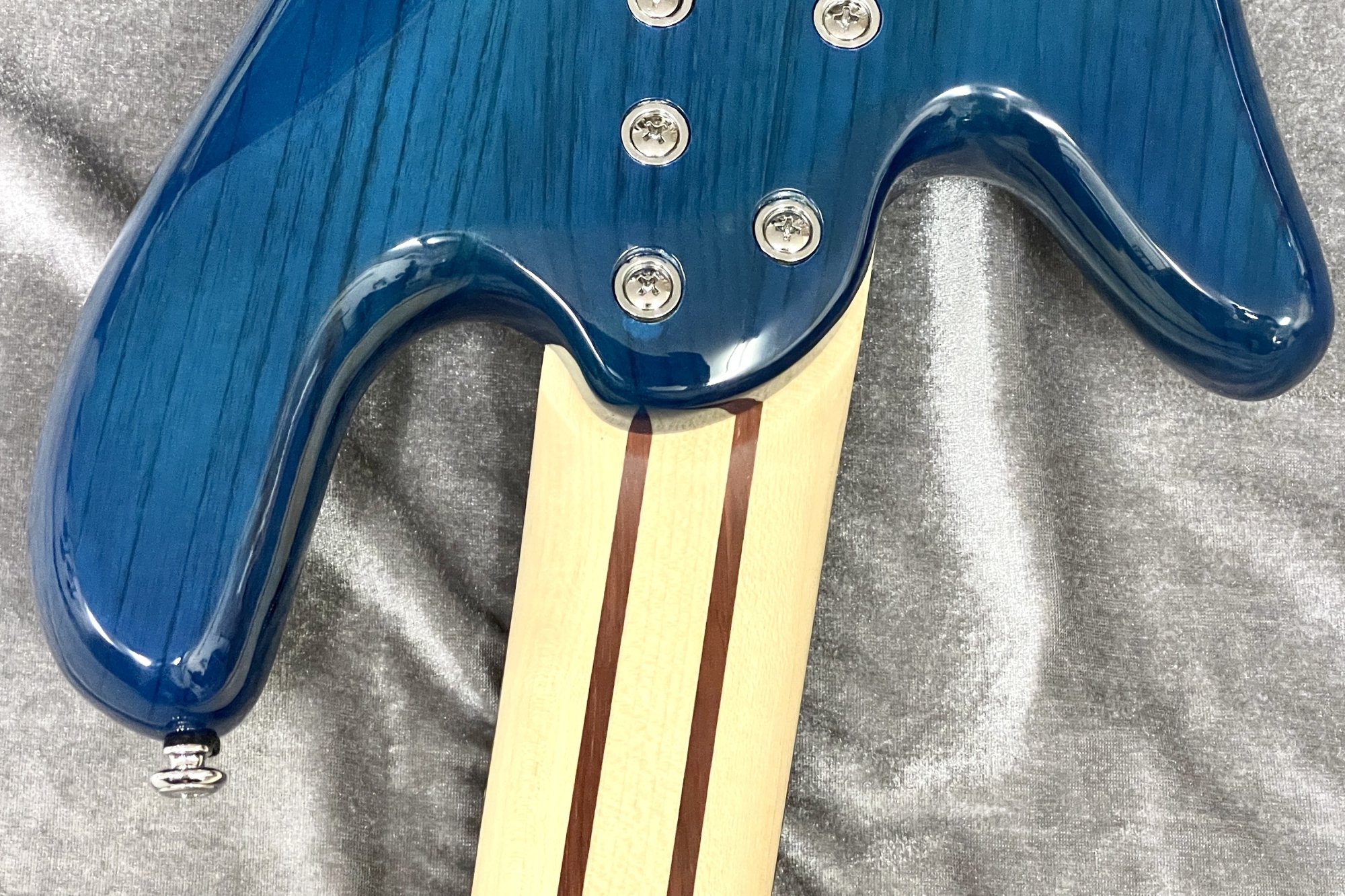 new】Spector / Legend 5 Standard Blue Stain Gloss #WI22080016 4.3