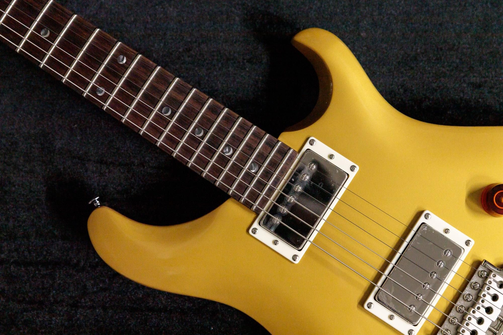 new】PRS(Paul Reed Smith) / SE DGT Moons GoldTop #F027726