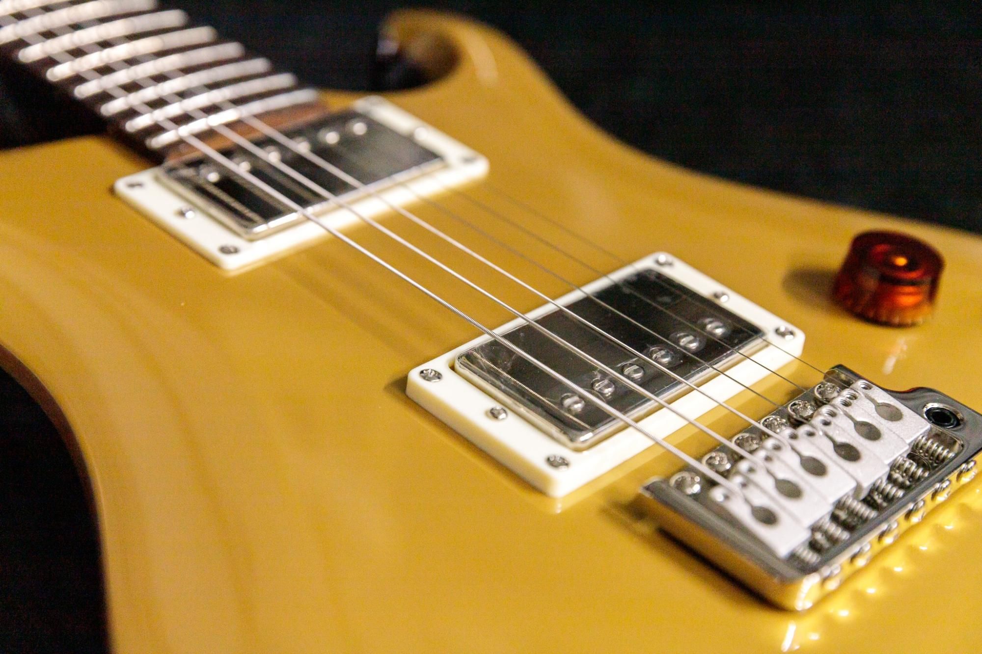 new】PRS(Paul Reed Smith) / SE DGT Moons GoldTop #F027726