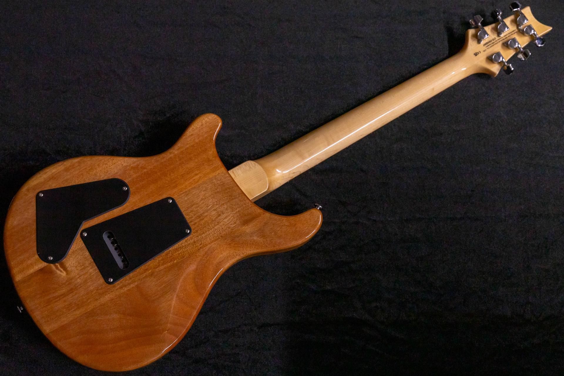 ギター Paul Reed Smith SE Custom new】PRS(Paul Reed Smith) / SE Custom 22 Semi-Hollow Santana