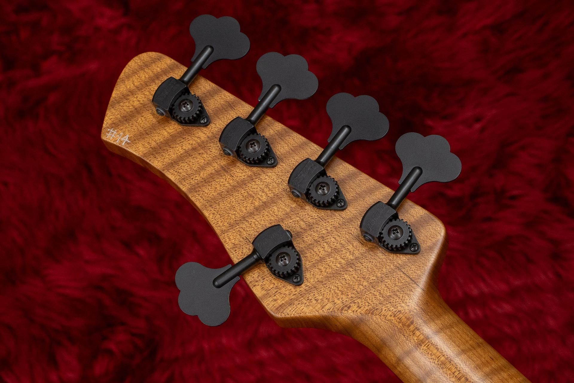 new】Kikuchi Guitars / Custom Bass 5 / snowflake whilte