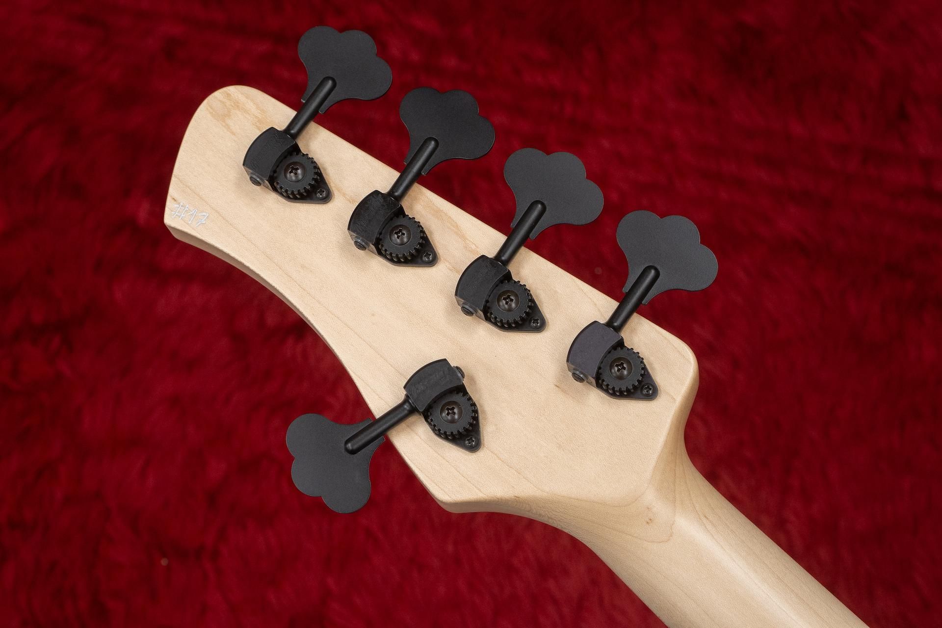 new】Kikuchi GUitars / Custom Bass 5 Natural #17 3.555kg【横浜店