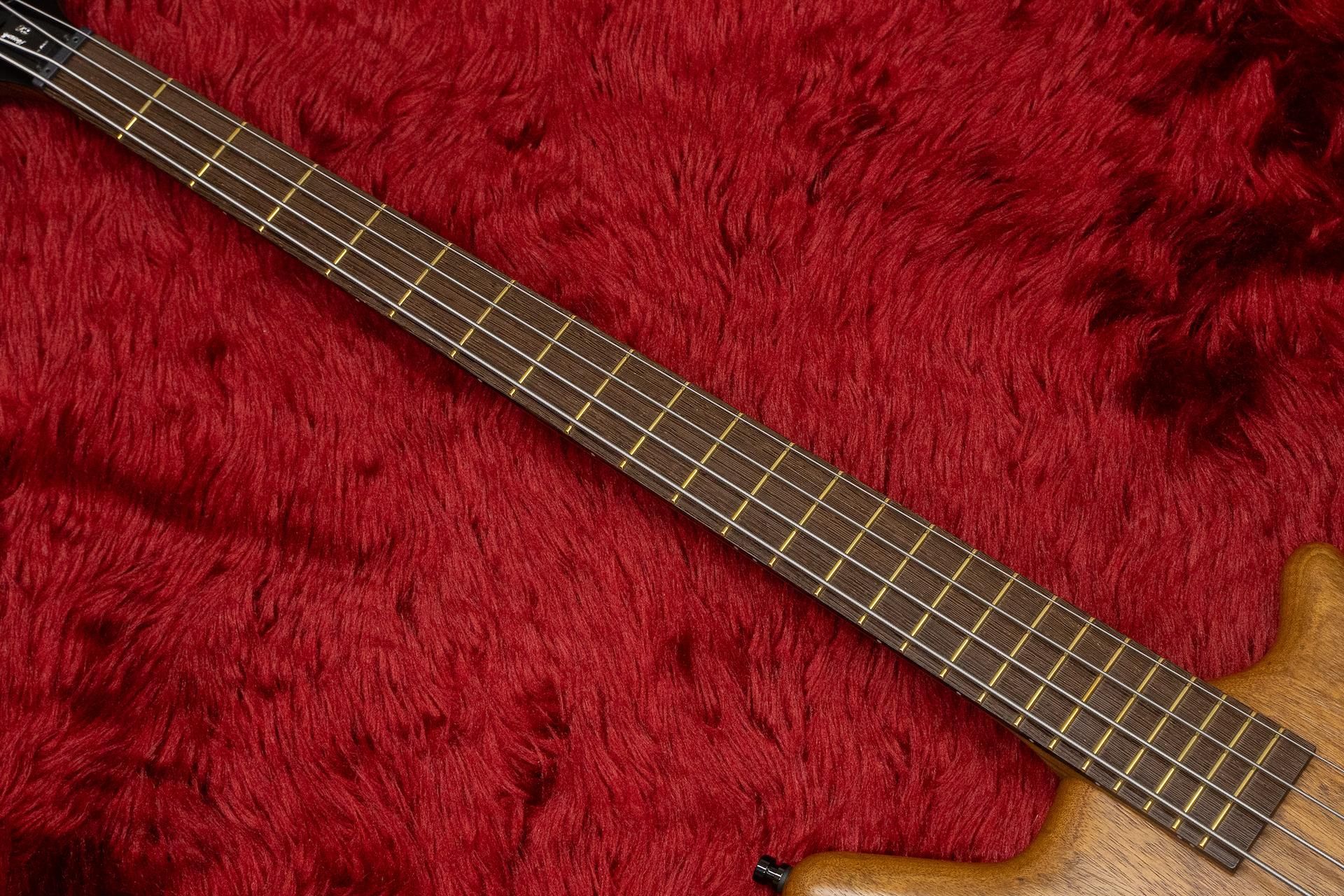 outlet】Warwick / Team Build PS Thumb Bass BO 5 TS NAT B