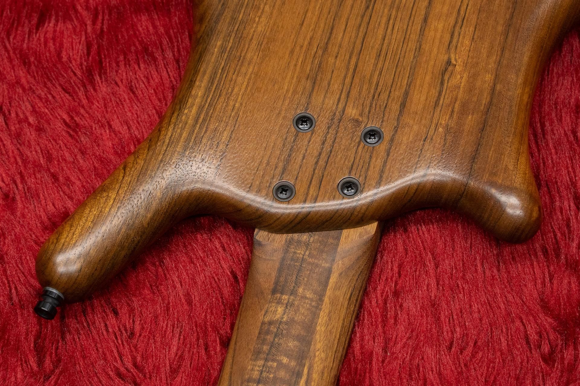outlet】Warwick / Team Build PS Thumb Bass BO 5 TS NAT B