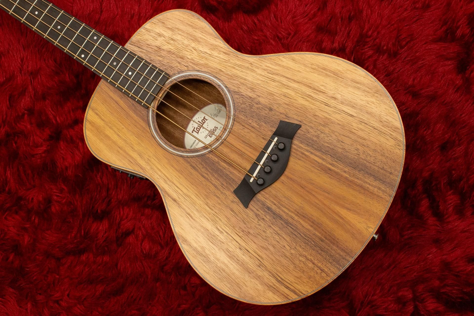 Taylor GS-Mini e-Koa