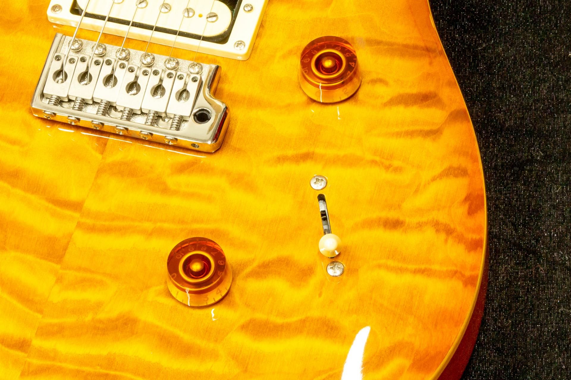 used】PRS（Paul Reed Smith） / 30th Anniversary SE Custom 24