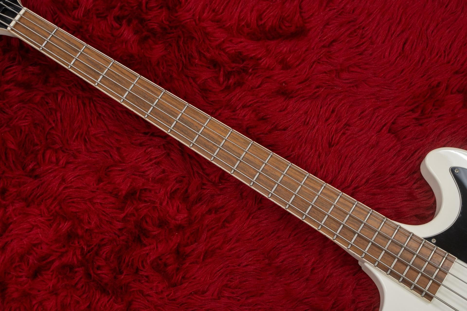 used】ESP / D-TR-290/WHT DIR EN GREY used】ESP / D-TR-290/WHT DIR EN GREY