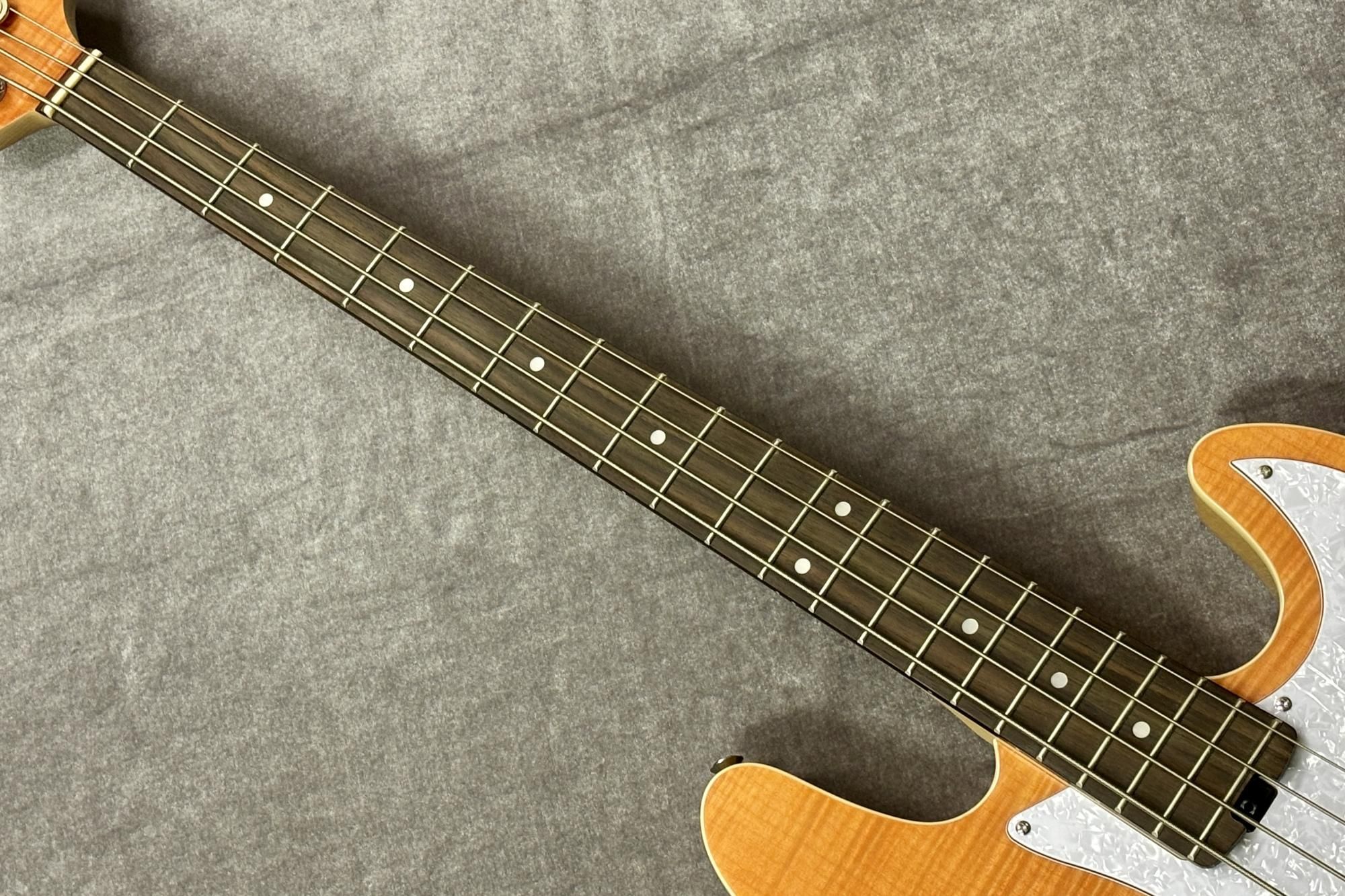 new】Ariapro II / Evergreen STB-AE200 MP【GIB兵庫】 - Geek