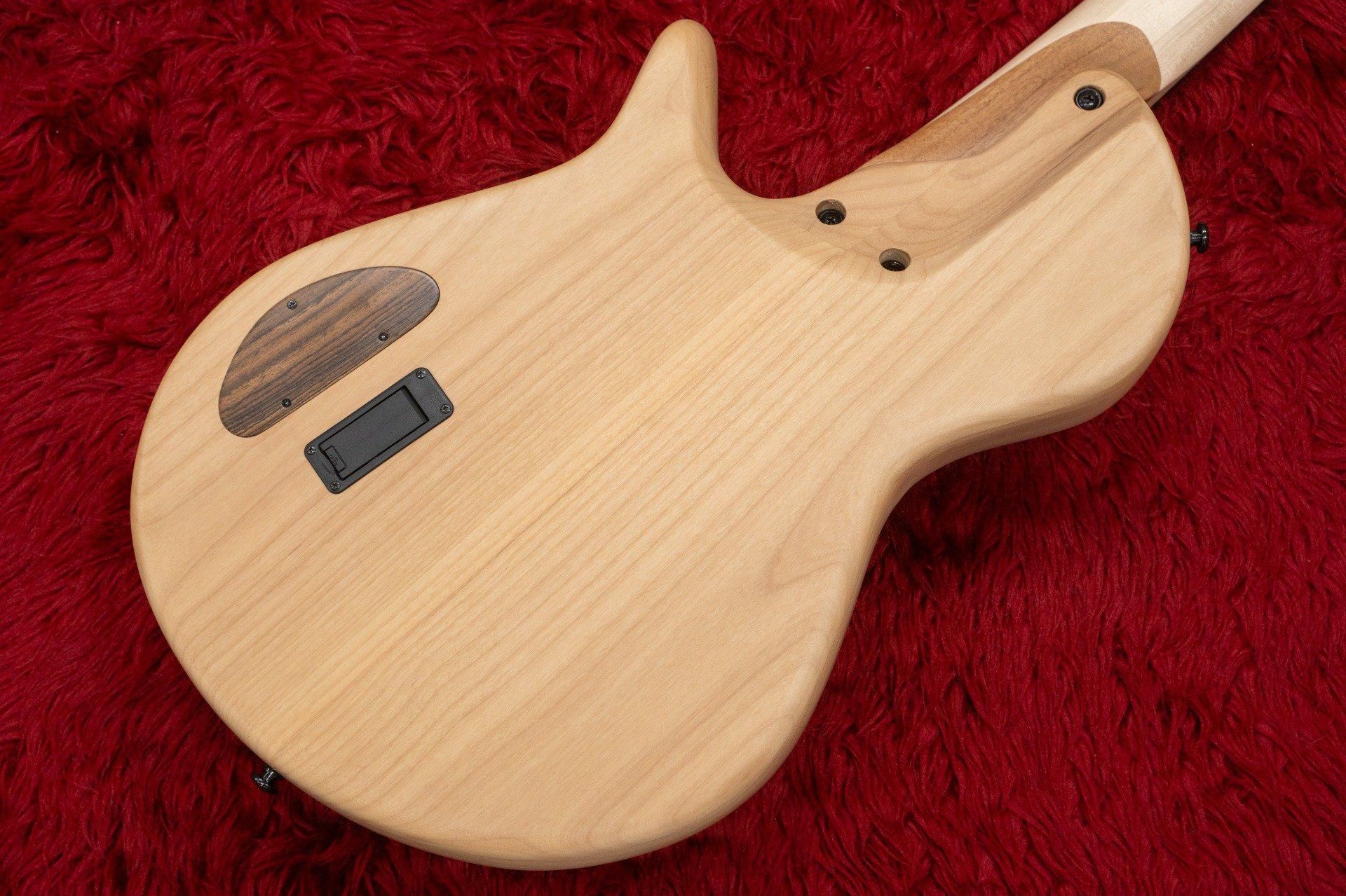 new】Benevolent Basses / Benevolo Cinque 5st with Hi-C string