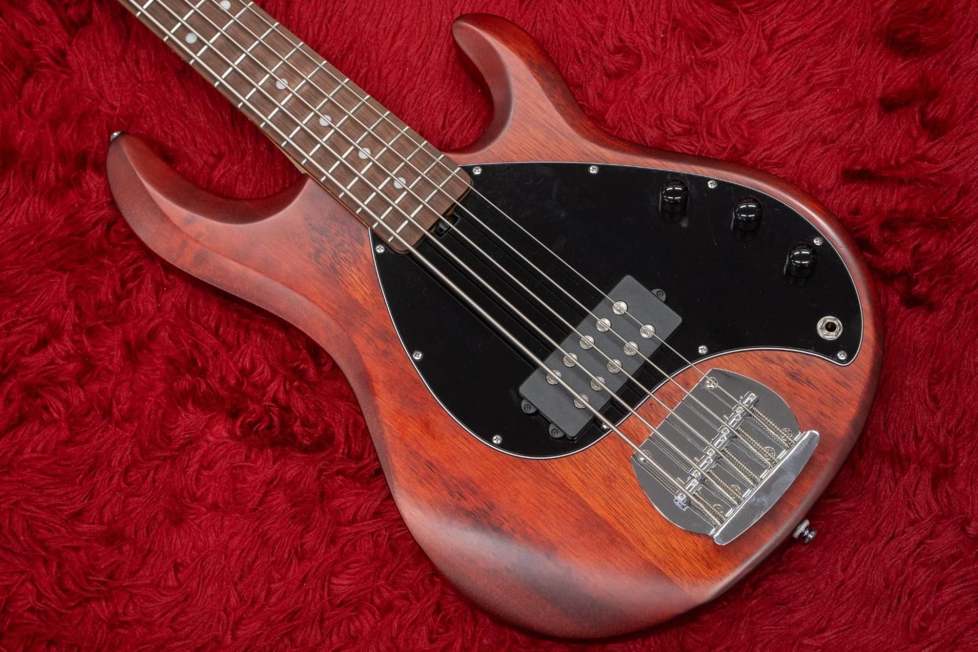 used】Sterling by Musicman / SUB Series Ray5 Walnut Satin used】Sterling by Musicman / SUB Series Ray5 Walnut Satin