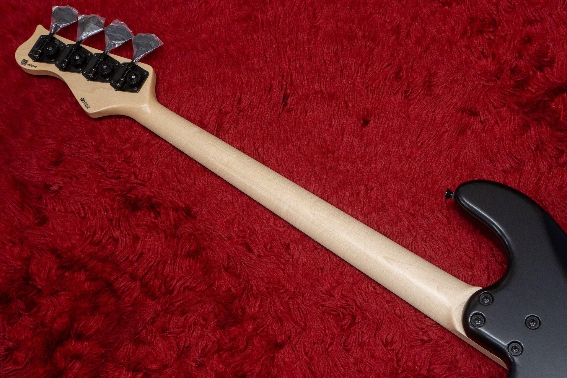 new】Freedom Custom Guitar Research / C.S. Anthra 4st. / SDB