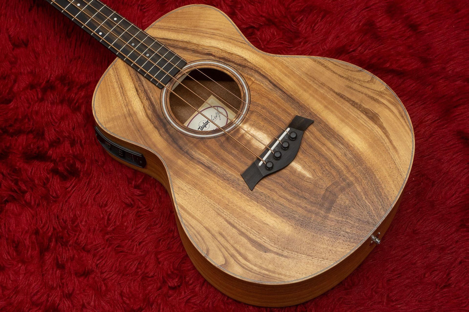 Taylor GS mini ※訳アリ 要本文確認 TAYLOR GS Mini-e Special Edition Translucent Black テイラー