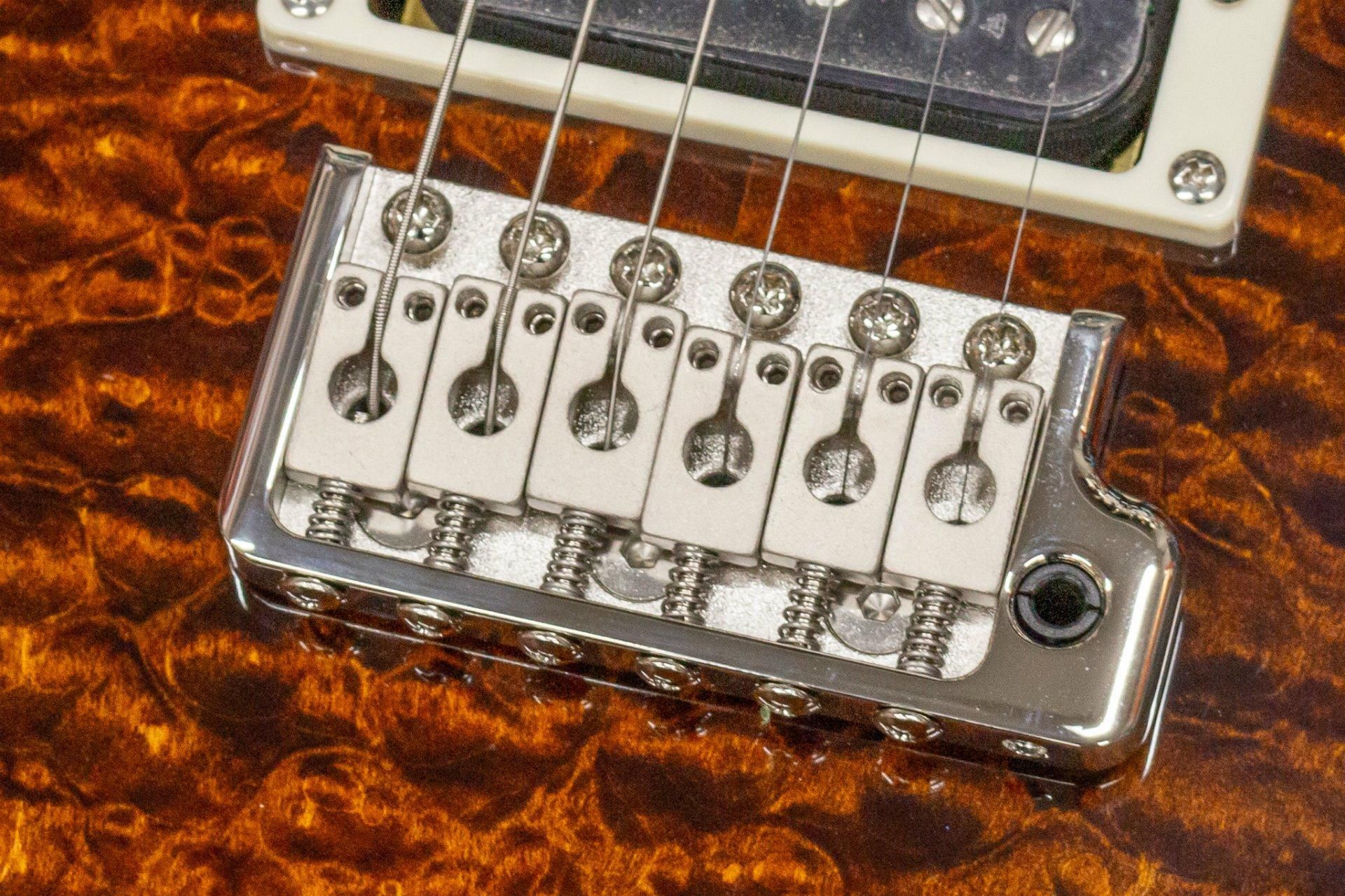 new】PRS（Paul Reed Smith） / SE Custom 24 Black Gold Burst