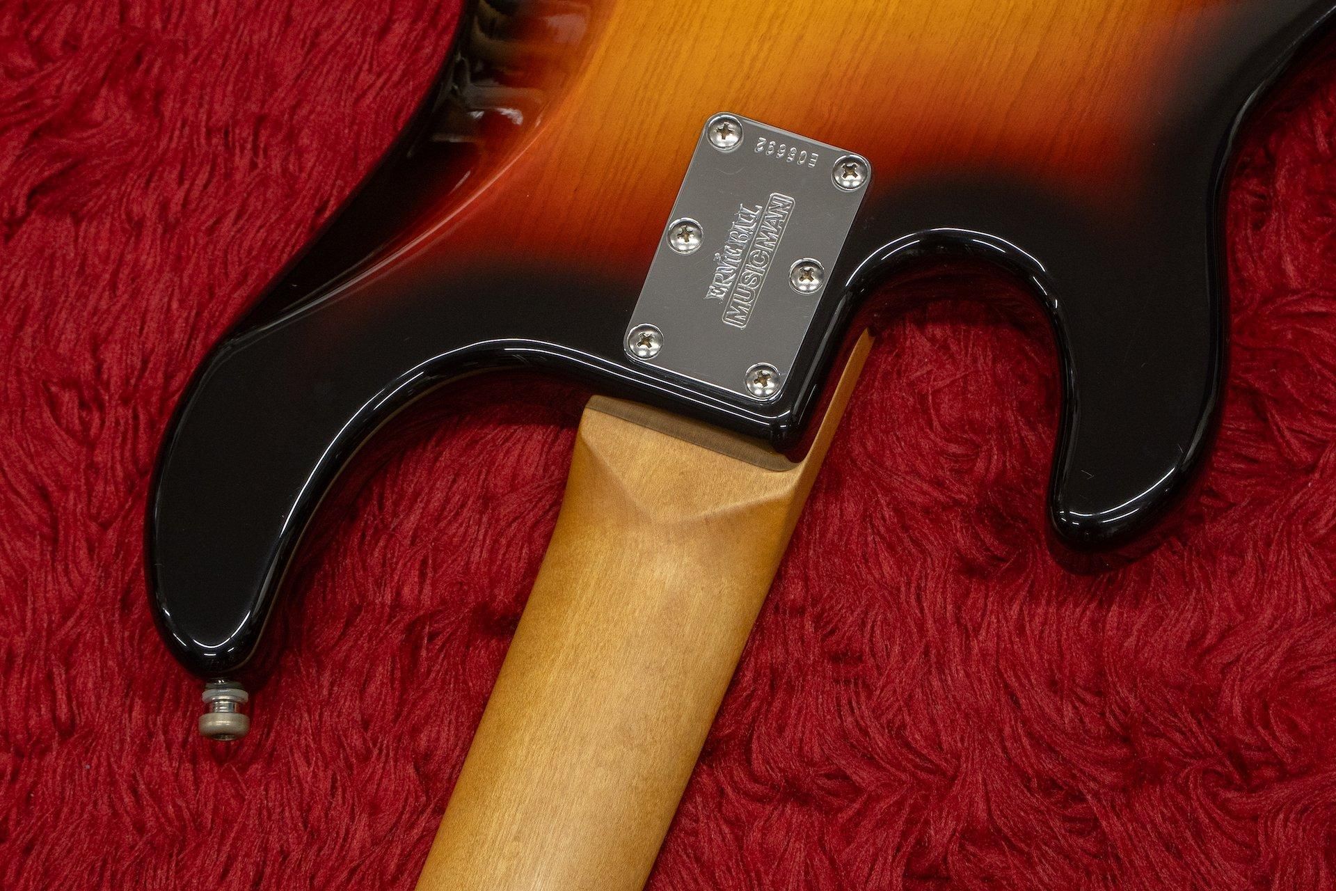 mono Ernie Ball MUSICMAN スティングレイ ベースケース mono Ernie Ball MUSICMAN スティングレイ ベースケース Ernie