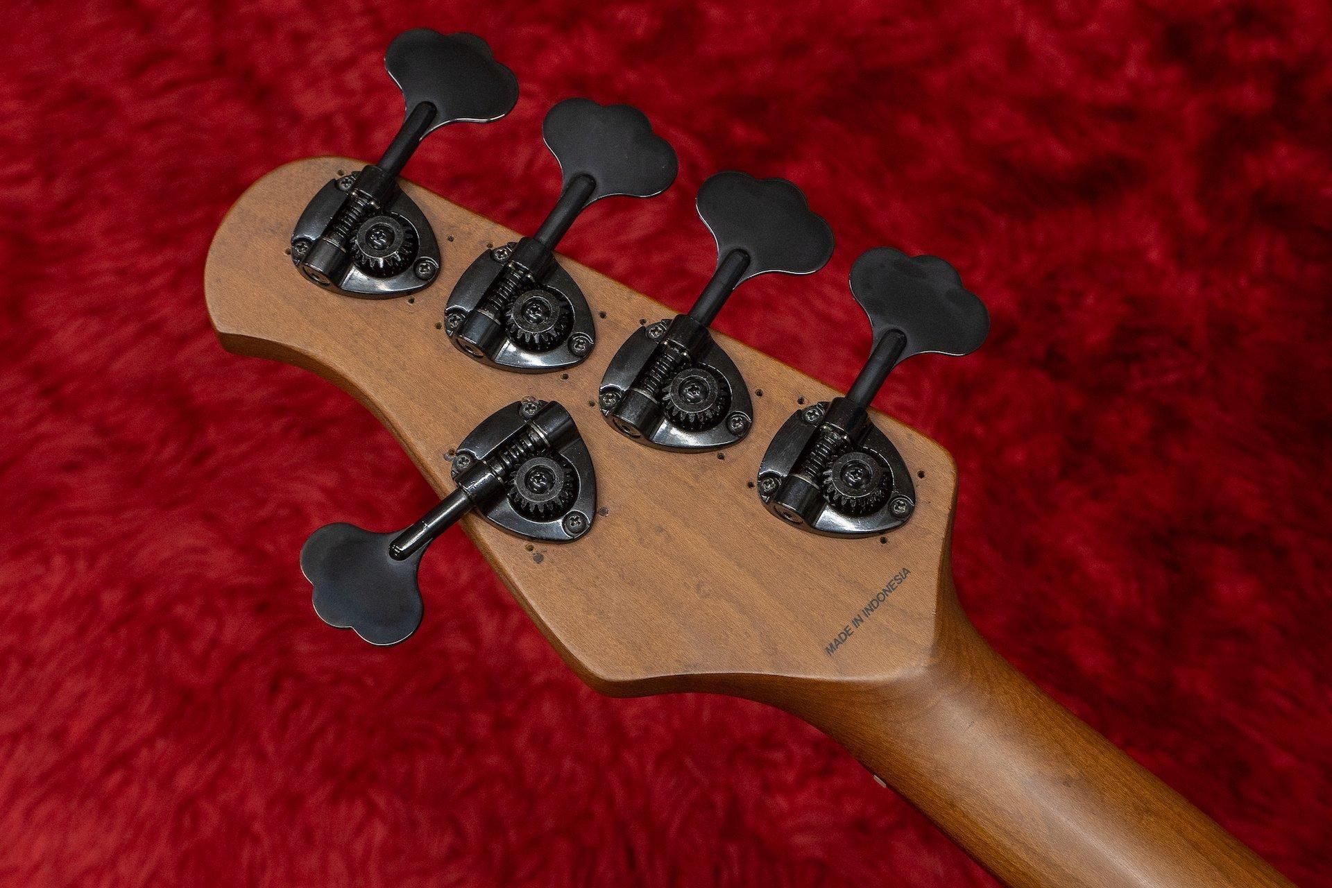 sterling by MUSICMAN StingRay5 　ベース Amazon | Sterling By Musicman SUB STINGRAY RAY5 WALNUT SATIN