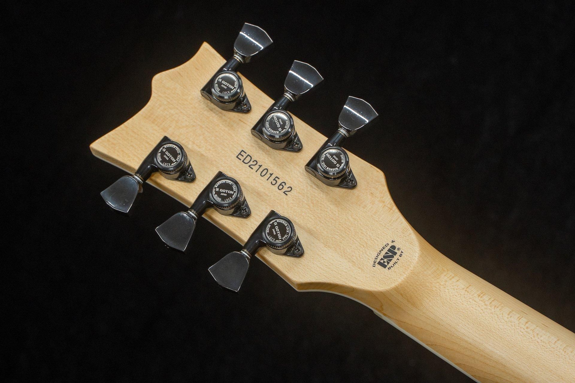 used】Edwards / E-Viper-1H Natural #ED2101562 3.19kg【TONIQ used】Edwards / E-Viper-1H Natural #ED2101562 3.19kg【TONIQ