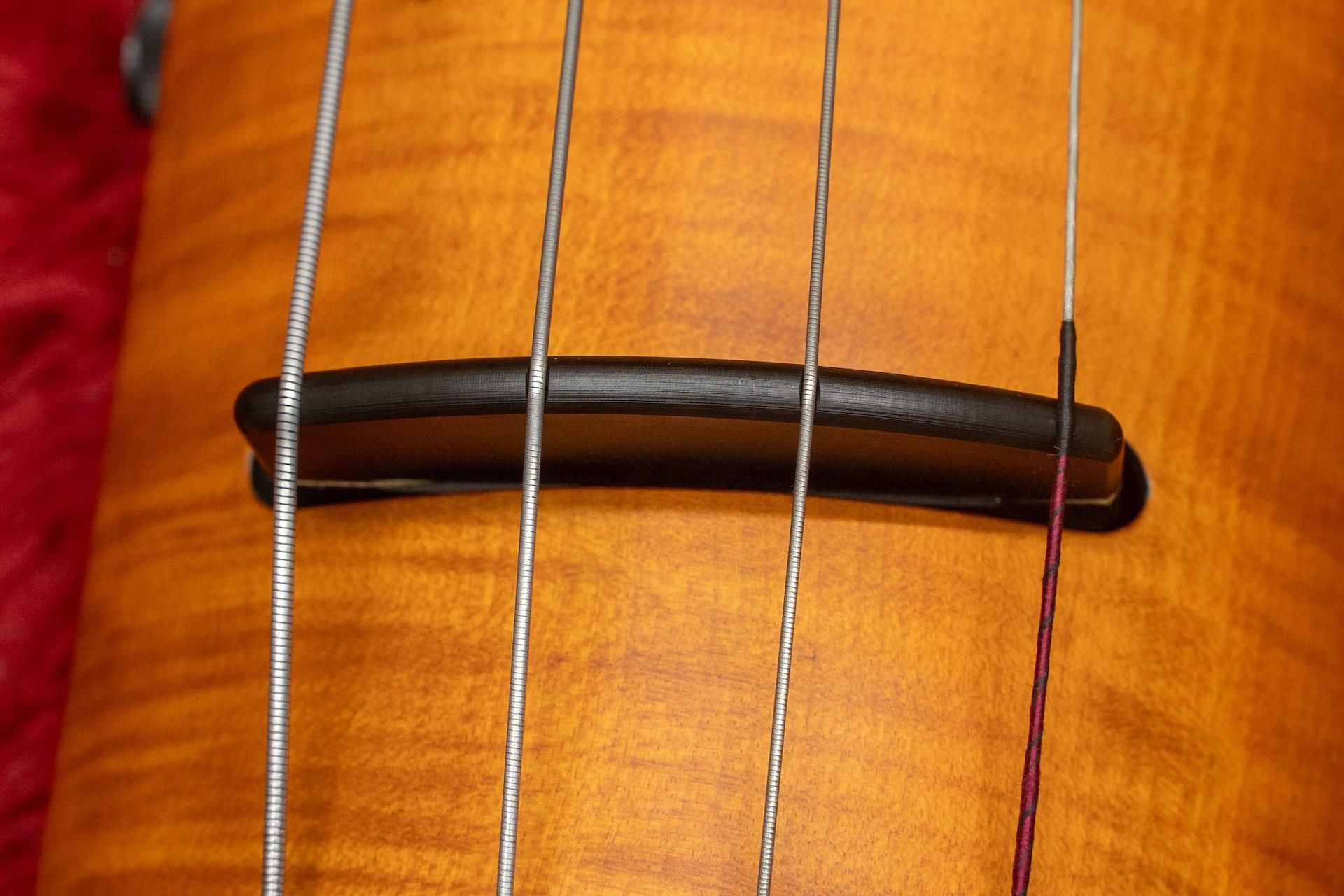 NS Design CR4M-DB アップライトベース NS Design Electric Upright Bass, CR4M Amber