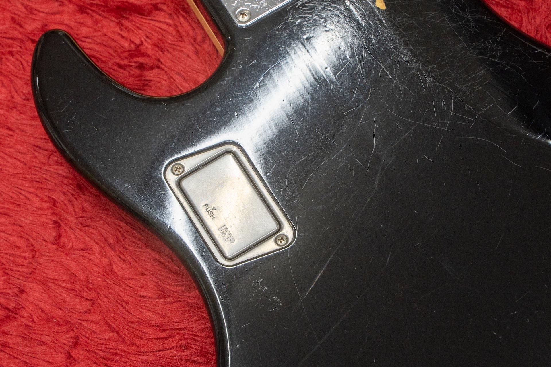ESP AMAZE アクティブピックアップ 社外ソフトケース付き