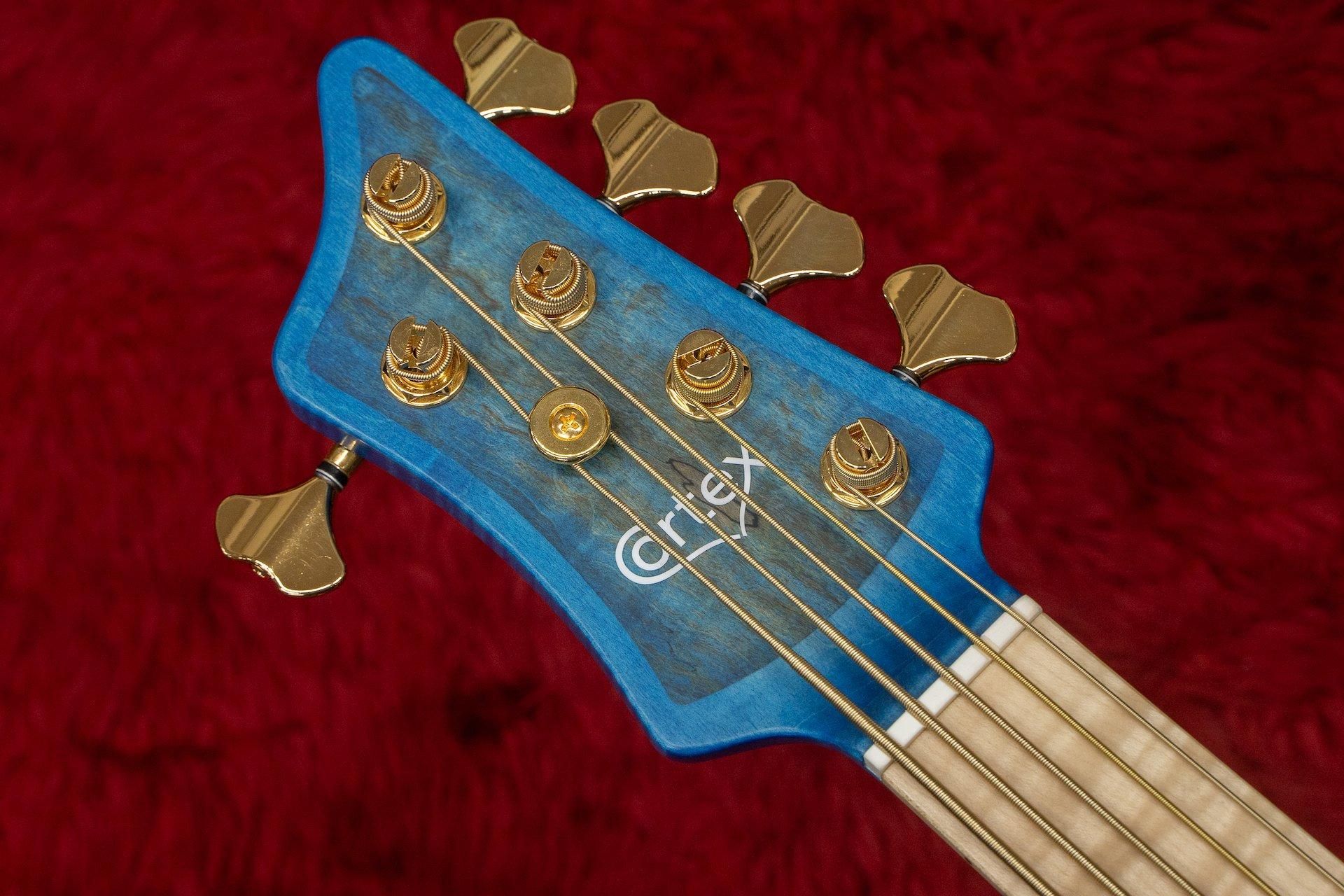 new】Cortex Bass / Napoleon Deluxe 5 Fretless 4.185kg #15760