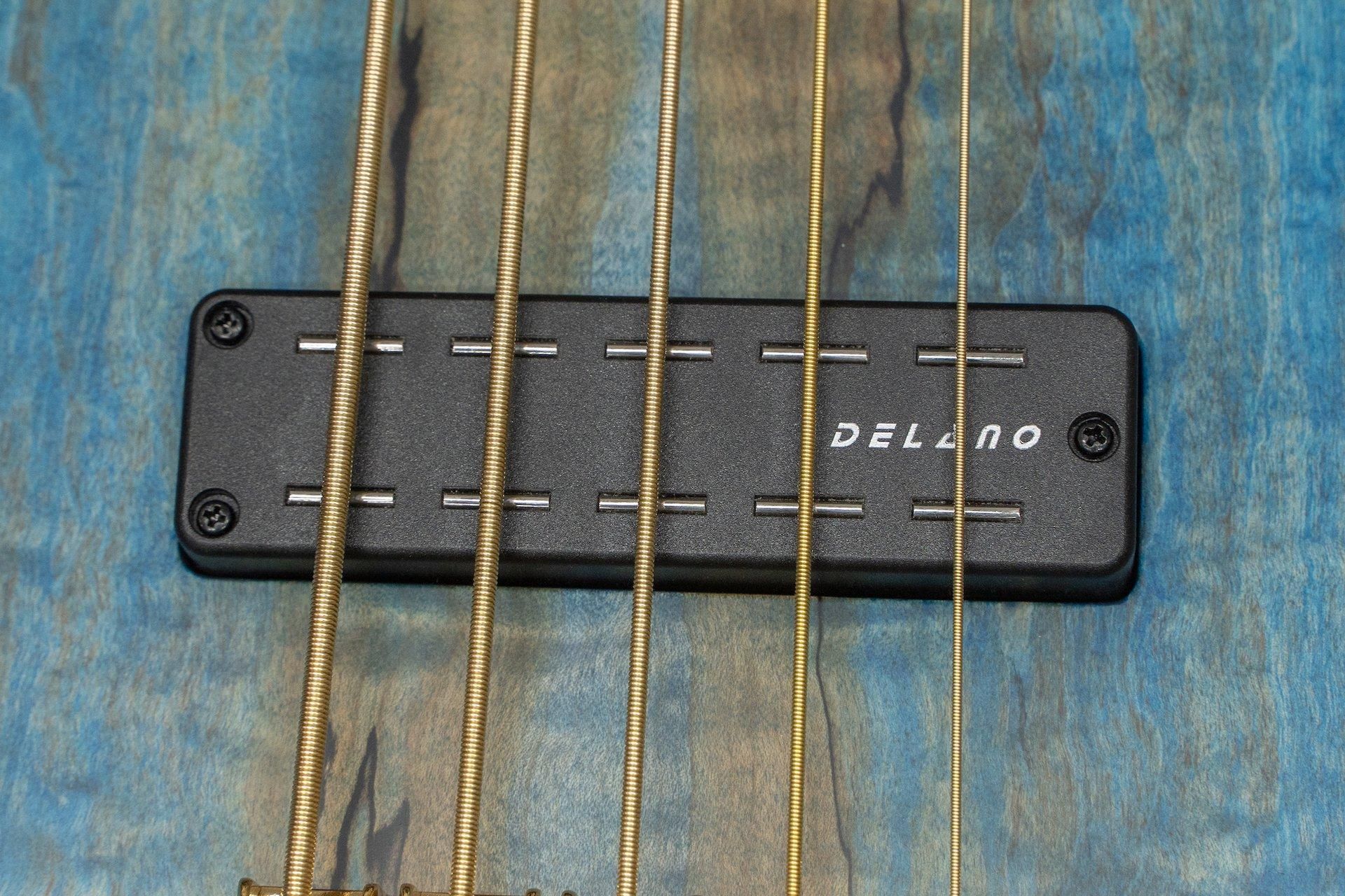 フレットレスベース　コンポーネント new】Cortex Bass / Napoleon Deluxe 5 Fretless 4.185kg #15760