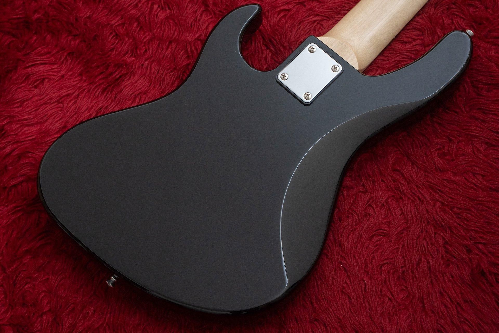 new】woofy basses / ONE series Poodle 5 Sunburst - Geek IN Box