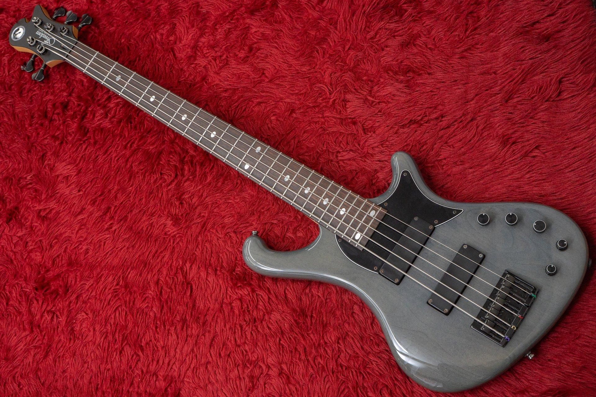 used】Freedom Custom Guitar Research / Dulake Libero-5st