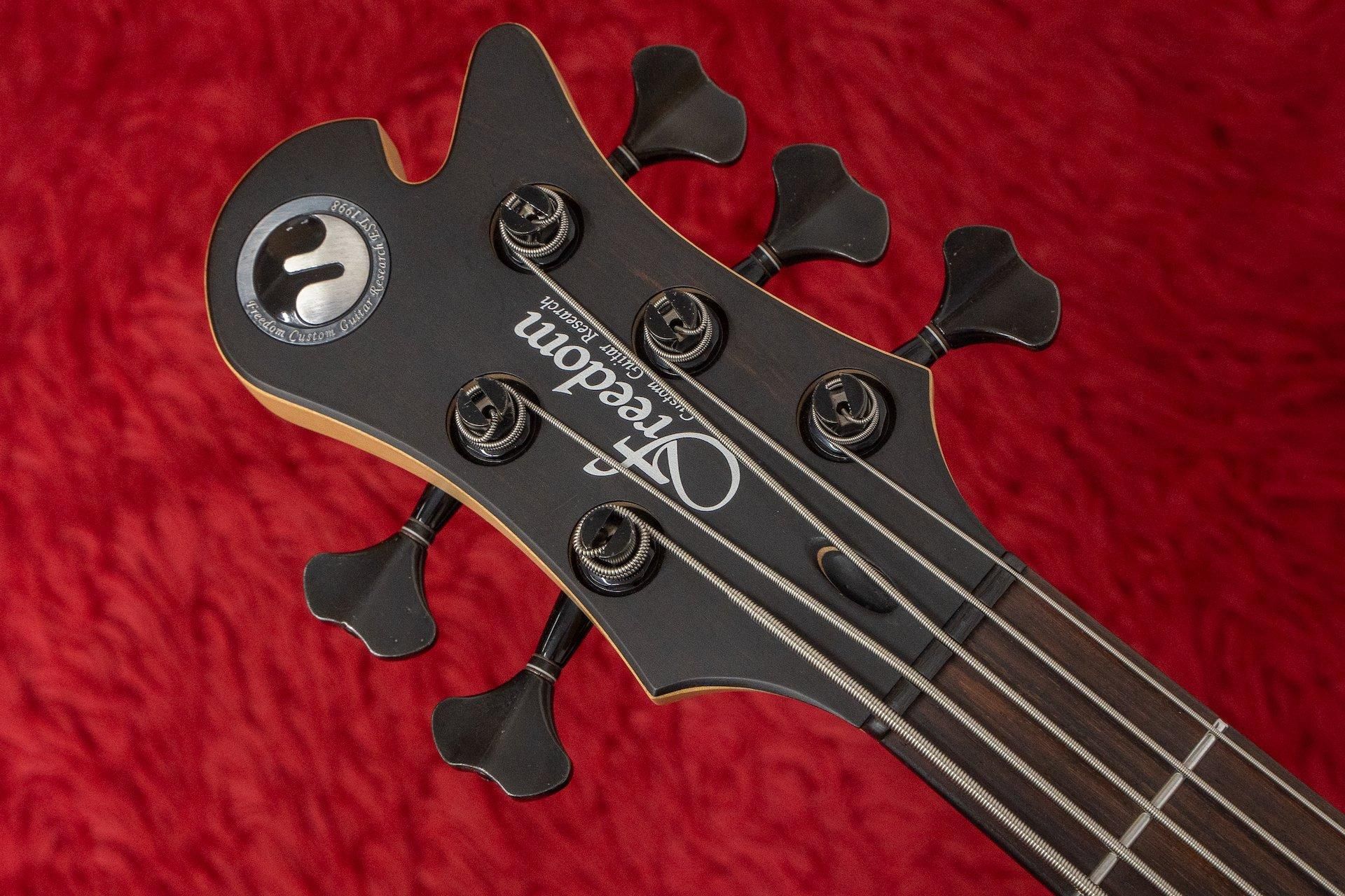 used】Freedom Custom Guitar Research / Dulake Libero-5st