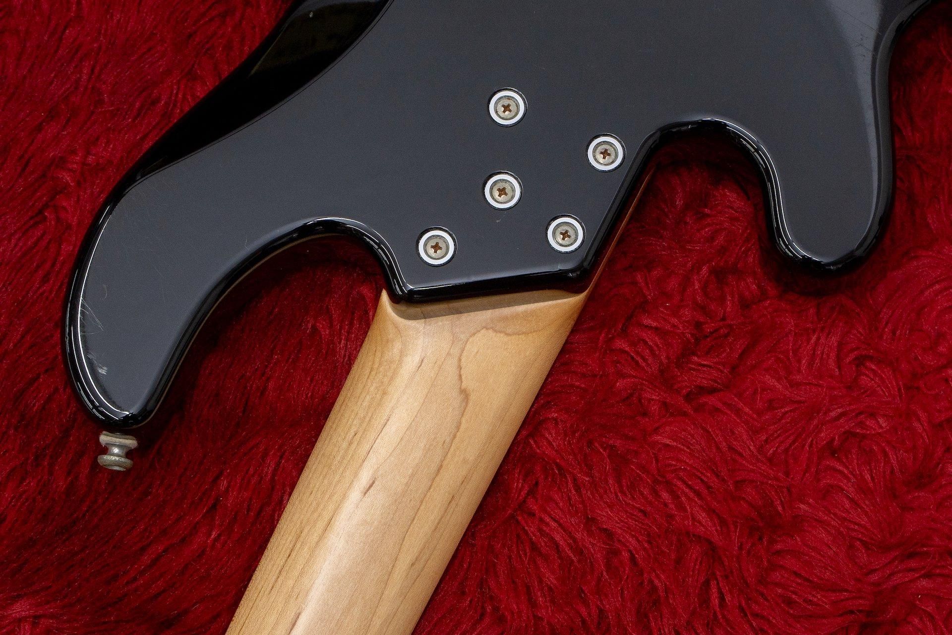 中古・美品 Lakland Skyline 55-01 (USA仕様) mus0000001826.jpg
