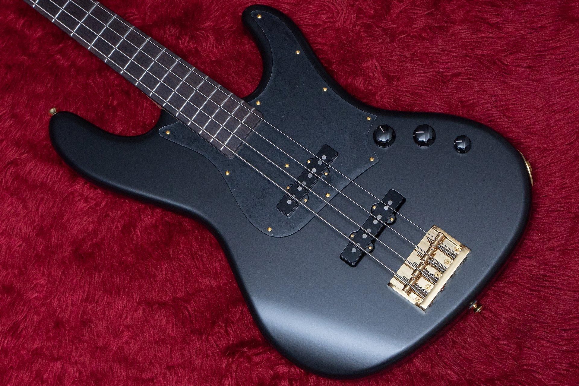 new】Freedom Custom Guitar Research / C.S. Anthra 4st SDB