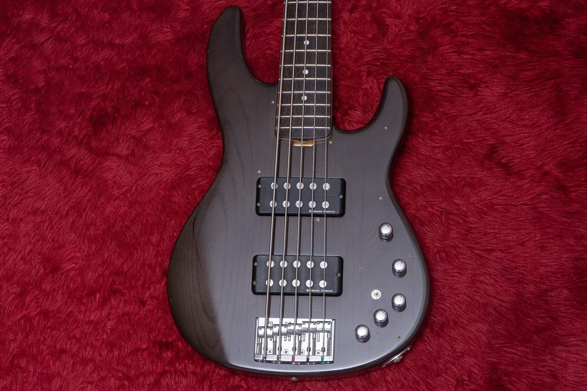 used】E-II ESP / AP-5 See Thru Black 4.445kg【GIB横浜