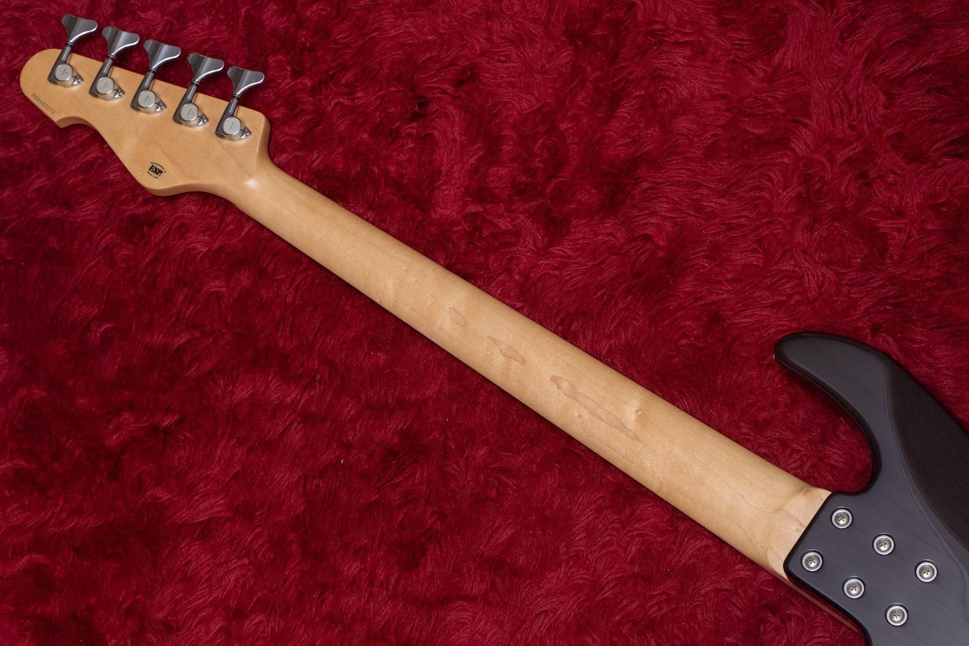 used】E-II ESP / AP-5 See Thru Black 4.445kg【GIB横浜