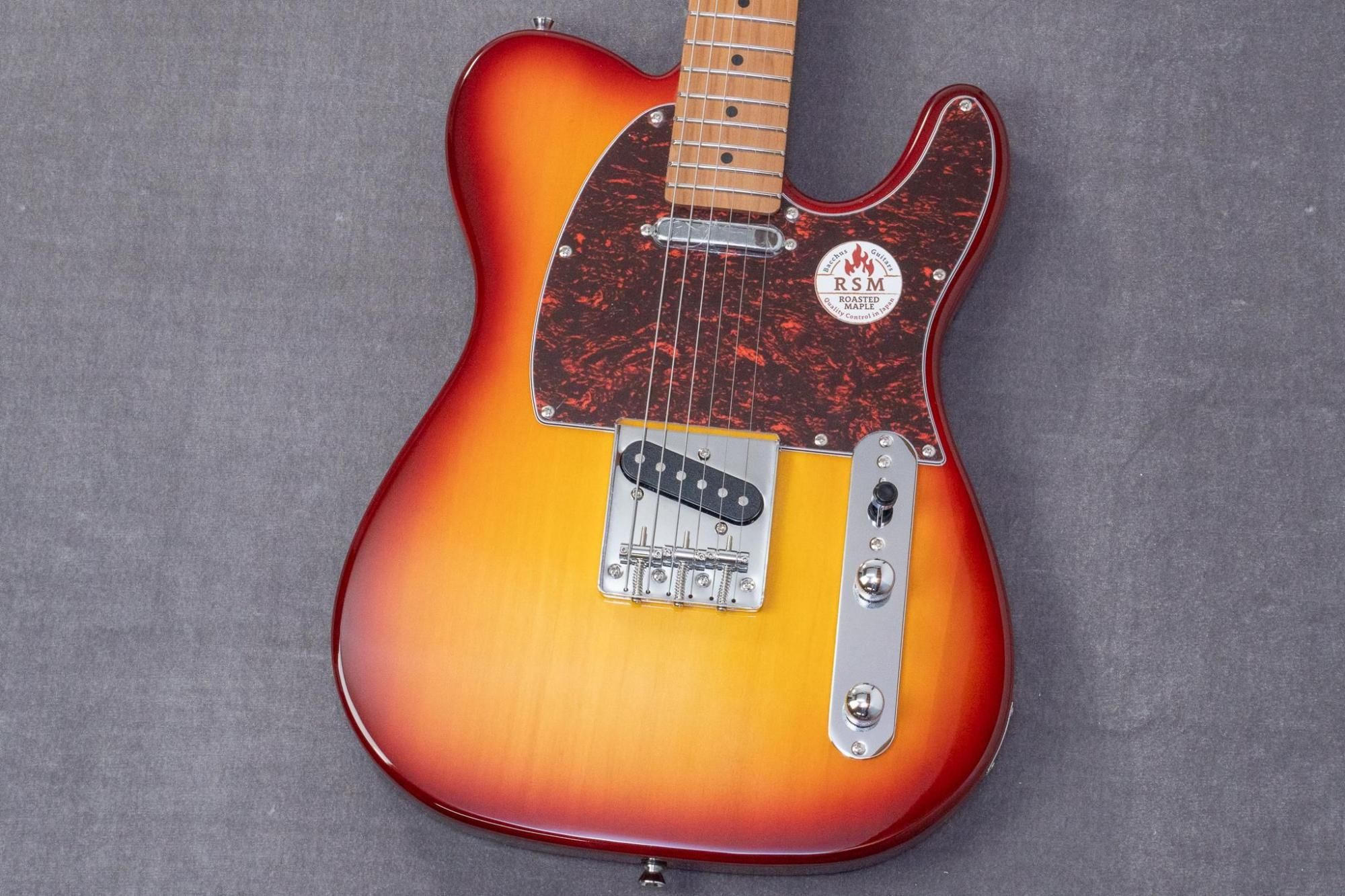 Bacchus テレキャスター BTE-1DX 美品 改造品 GOTOH Bacchus BTE-1DX RSM/M SFB (Sea Foam Blue) ユニバースシリーズ