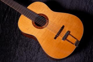 【new】Framus / Hootenanny 12-String VNN #FRVC0247-25 2.015kg【TONIQ横浜】