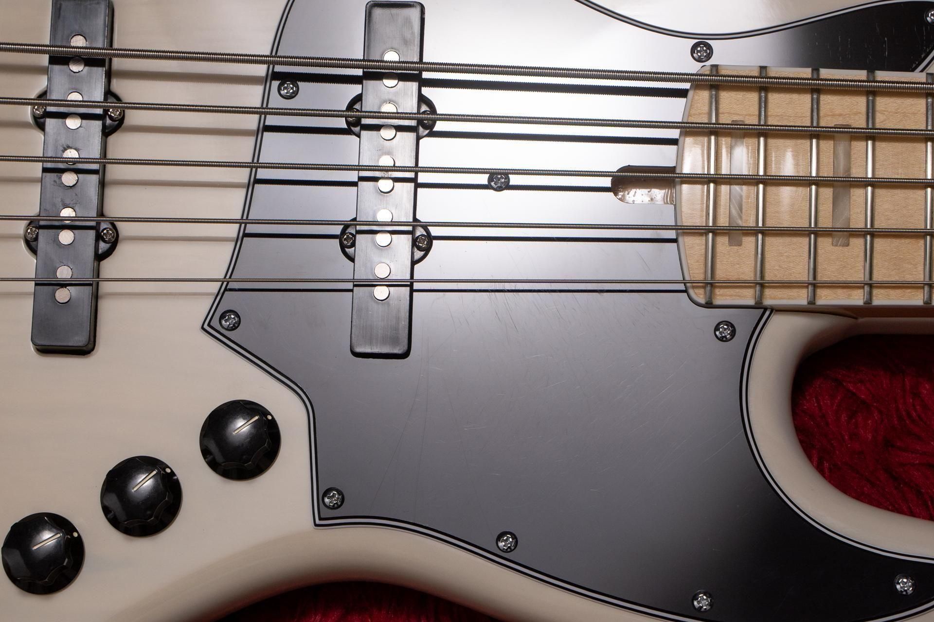 alleva coppolo ベースケース 黒　ギグバッグ alleva coppolo ベースケース 黒 ギグバッグ 楽器アクセサリー