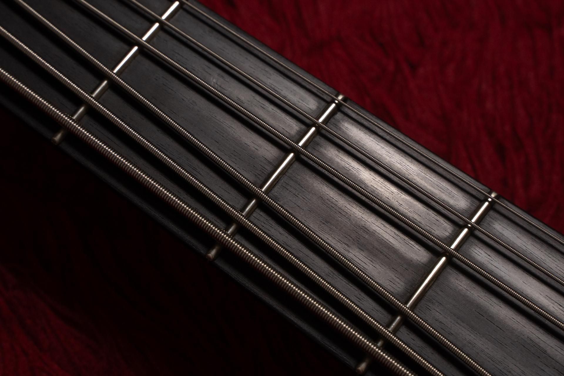ベース carl thompson semi frills Bass of the Week: Carl Thompson Full Frills Serial #12520