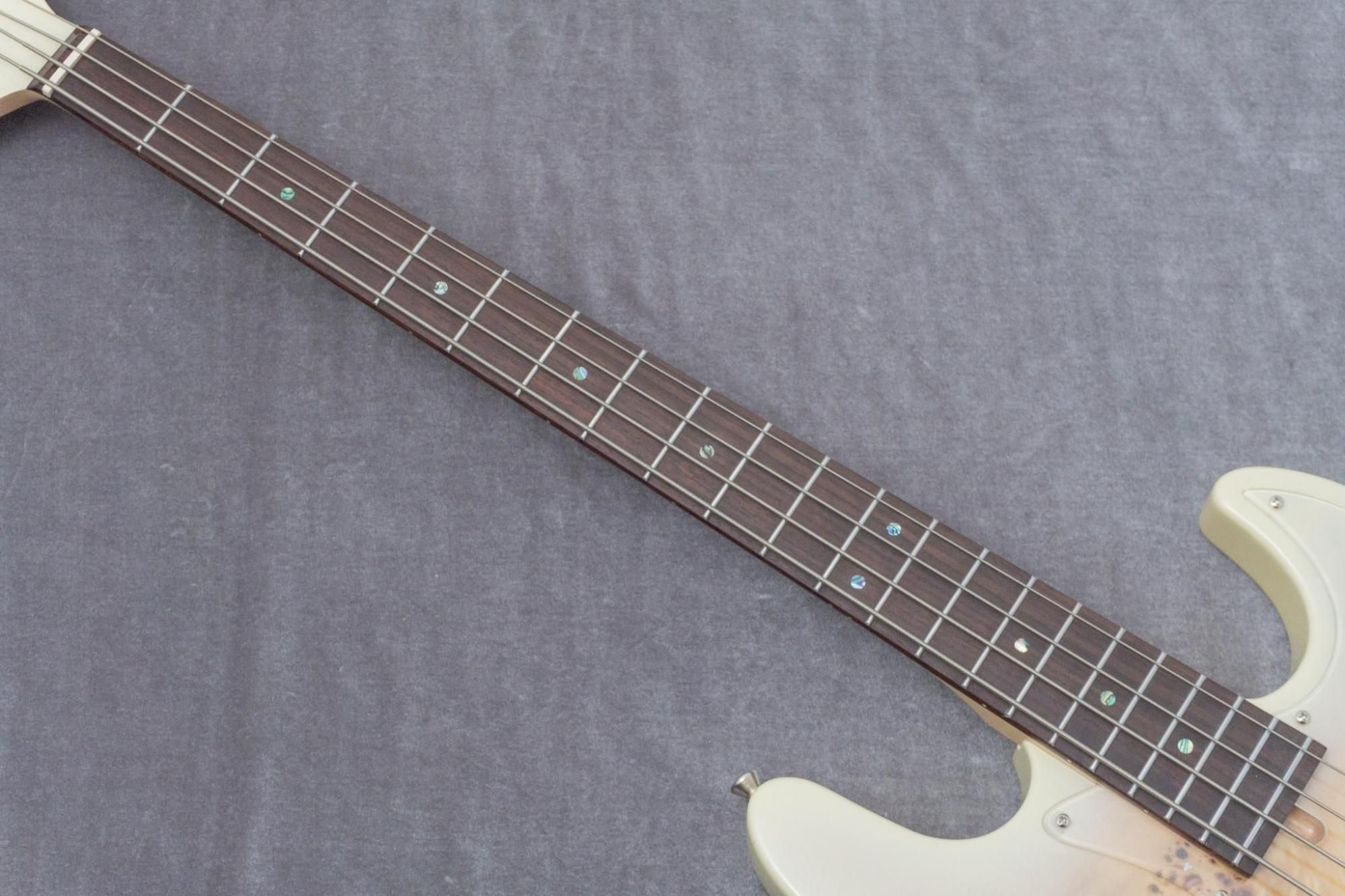 new】Bacchus / WJB-BP/Act BD-B【GIB兵庫】 - Geek IN Box