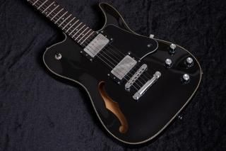 new】Freedom Custom Guitar Research / Anthra 4st SDB
