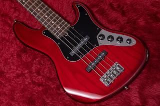 Fender American Professional ケース付 31まで値下 Fender USA 【最安SALE】 G&G Deluxe Precision Bass Hardshell