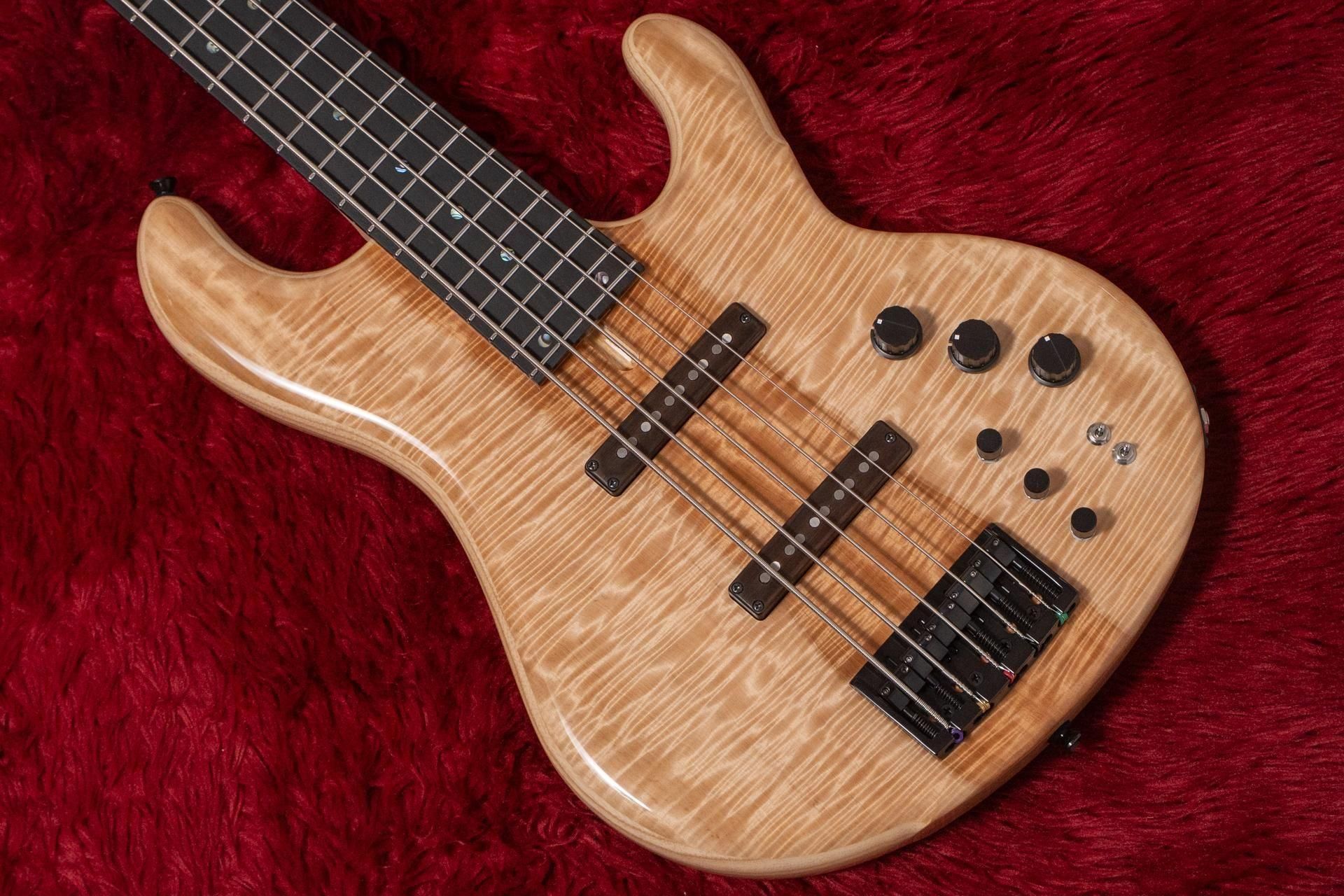 doragonfly CS-5 custom 5弦ベース Dragonfly CS-5/345 review | Guitar World