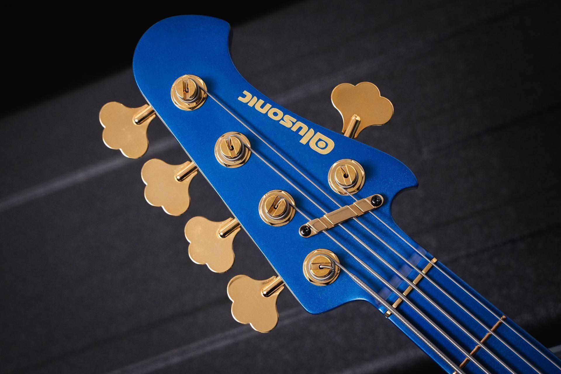 blue Blueさん専用 Theo Wanne 【セオ・ワニ氏フェイシングチェック済!!】「オープニング