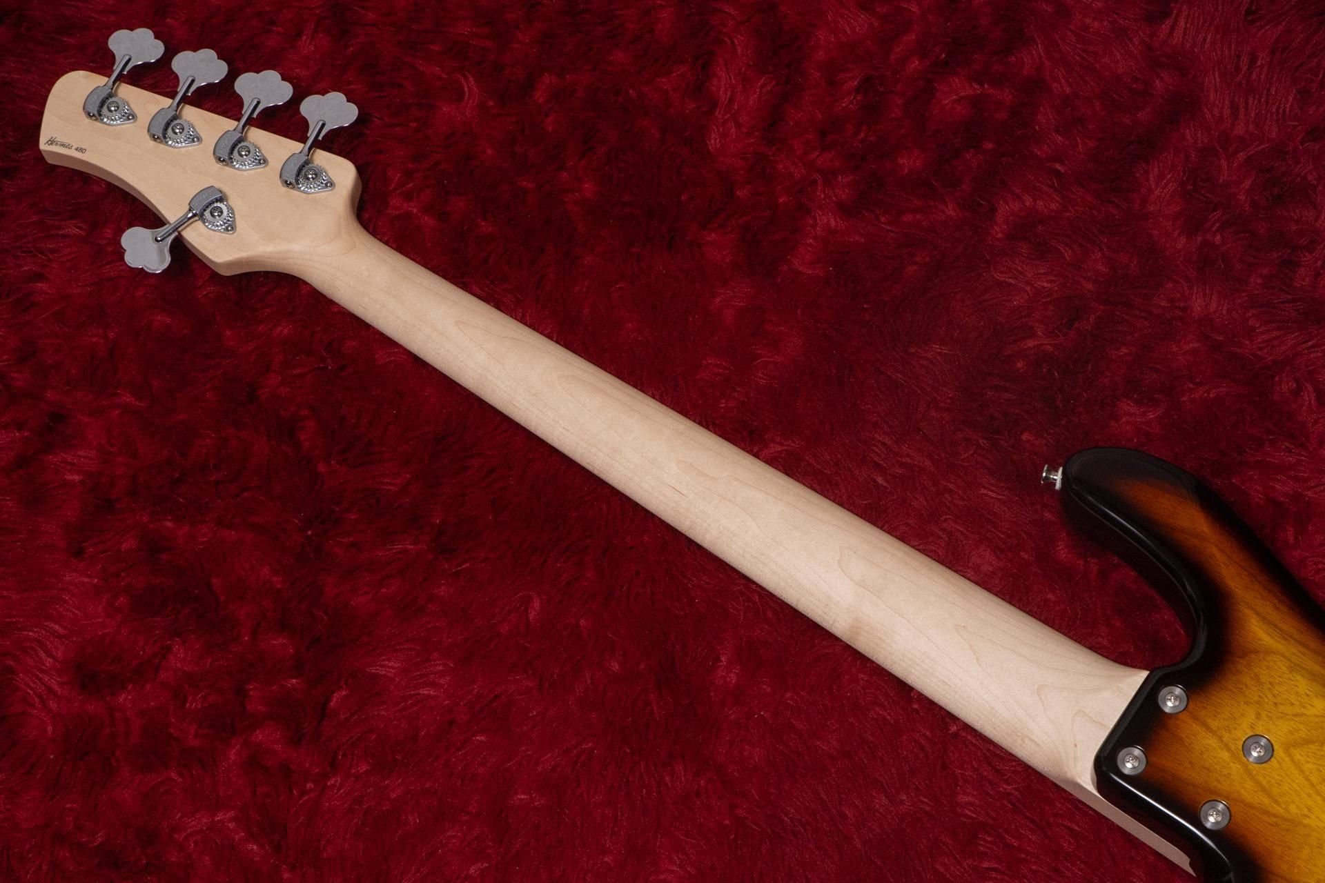 トルコヒメテナガ　35mm トルコヒメテナガ 35mm ヒメテナガコガネ (トルコヒメテナガコガネ