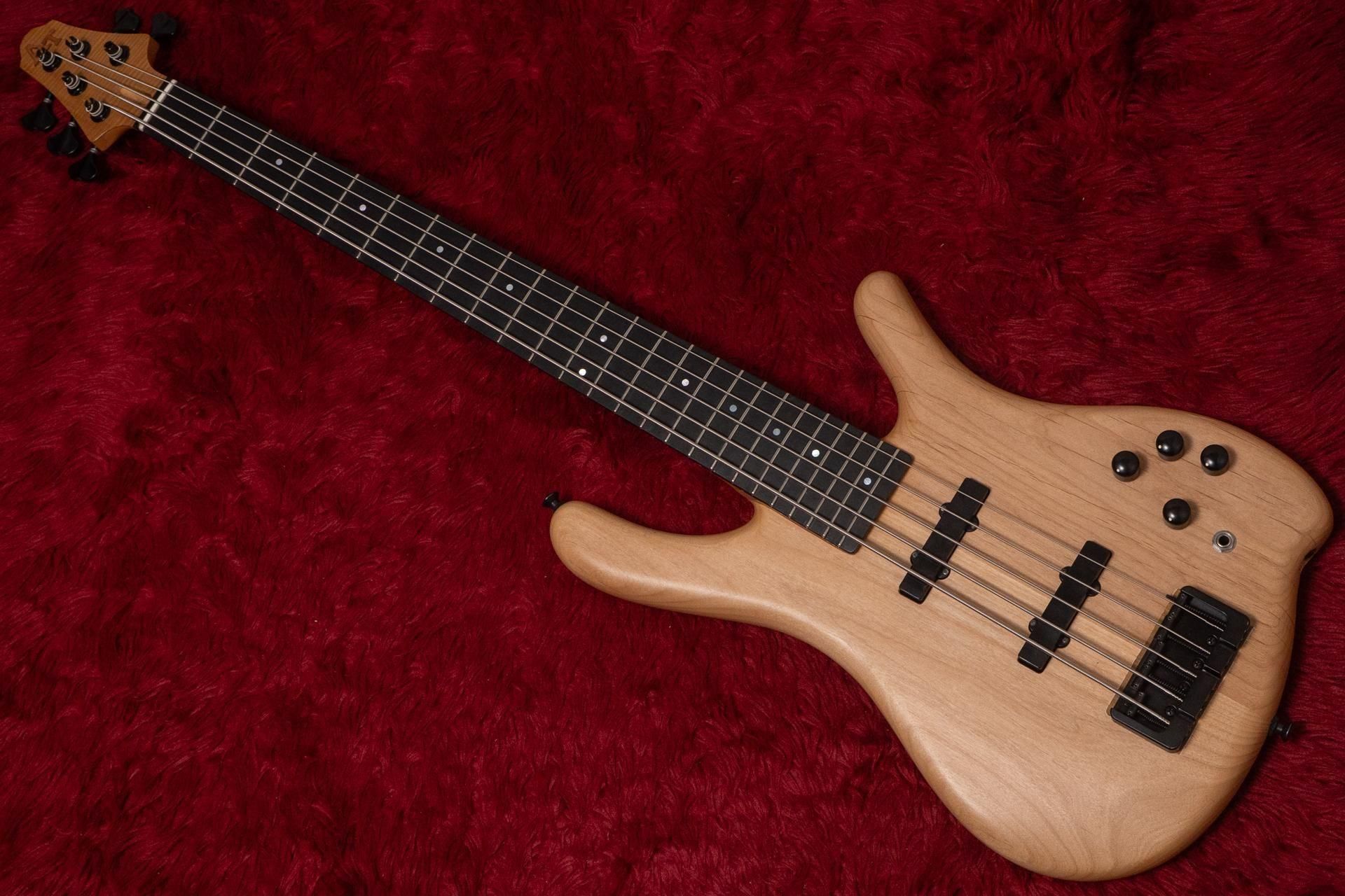 used】Art Tech / Custom Bass 5st Passive mod. 1992 3.720kg【GIB