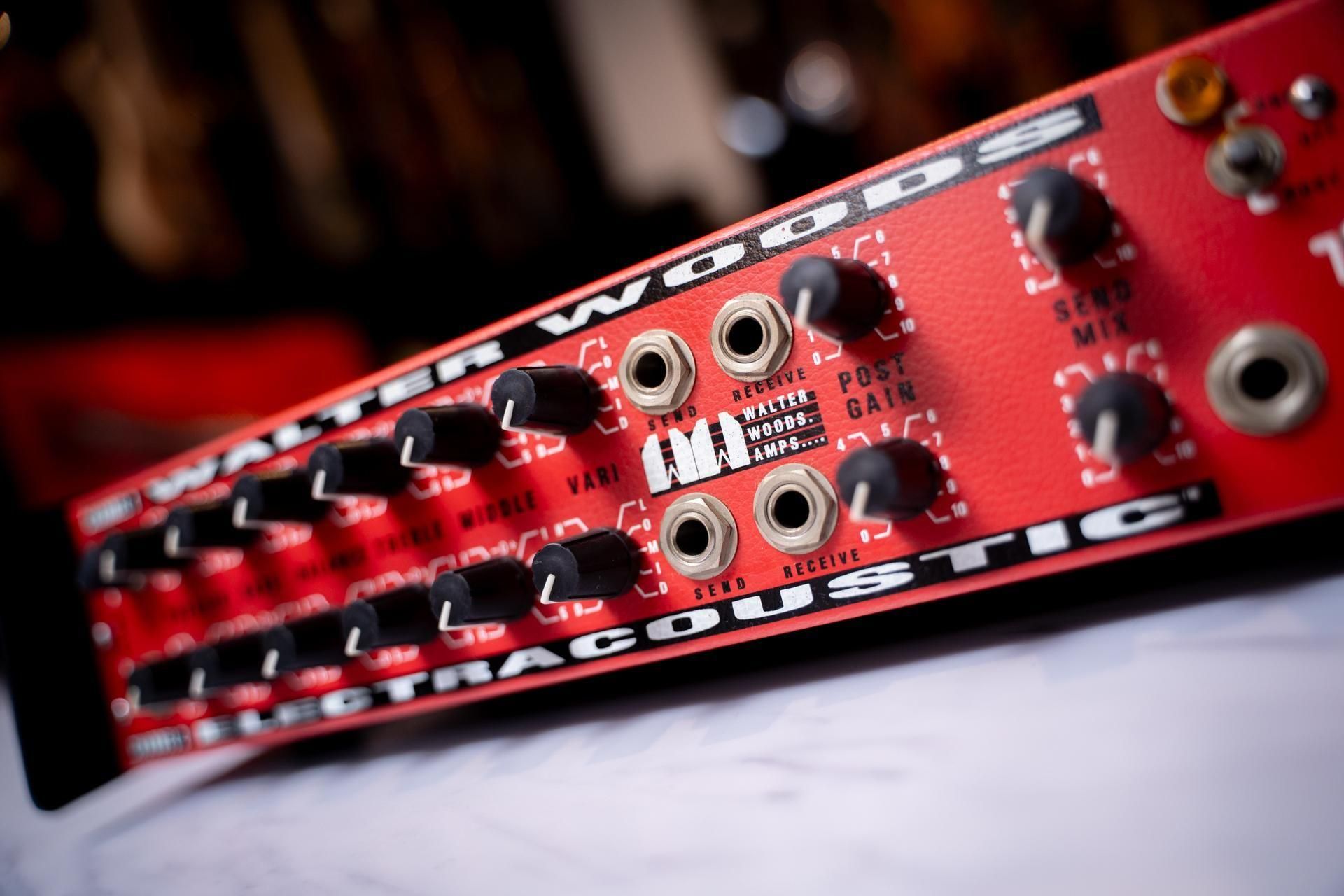 【超高性能ベースアンプ】Walter Woods/M-450 WALTER WOODS - ゼーレ弦楽器工房