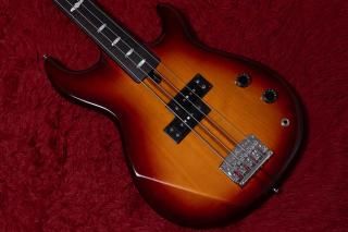 Roland RB-120 - Geek IN Box